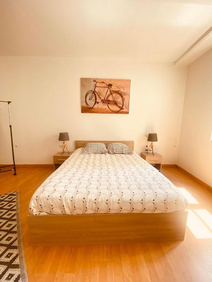 Joli Appartement Proche Cathedrale ล็อง ภายนอก รูปภาพ